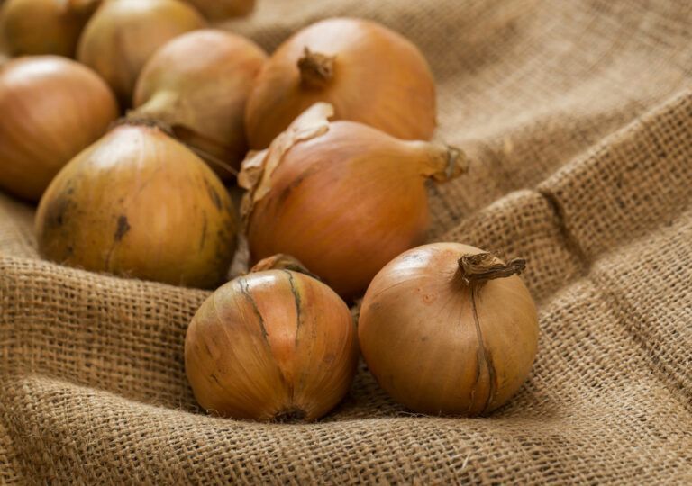 Cebollas para rehogar