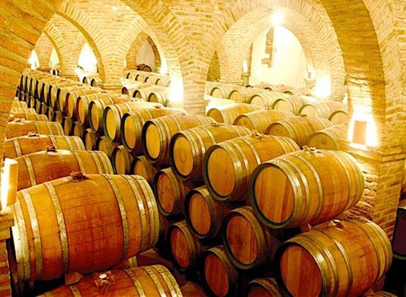 Visita a Bodegas Medina. D.O. Ribera del Guadiana- Barricas
