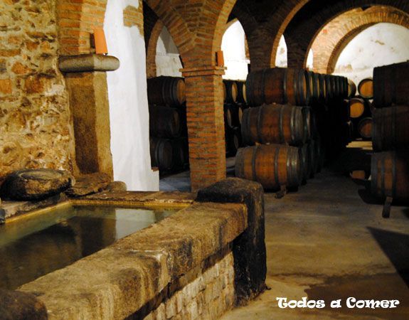 Visita a Bodegas Medina. D.O. Ribera del Guadiana- Huerto