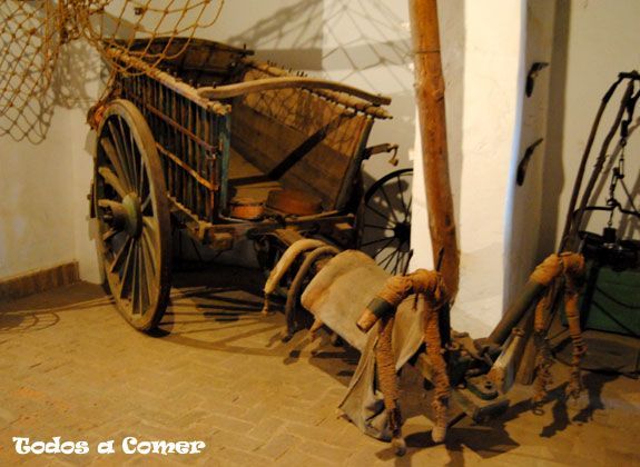 Visita a Bodegas Medina- D.O. Ribera del Guadina. Museo del vino