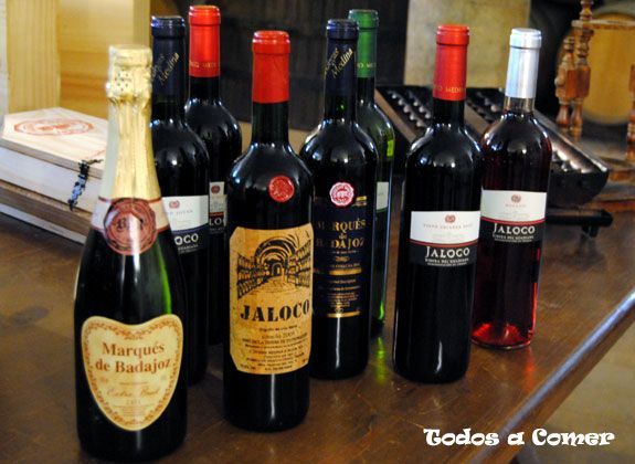  Visita a Bodegas Medina. D.O. Ribera del Guadiana- Vinos