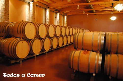 Visita a las bodegas Emilio Moro- Barricas