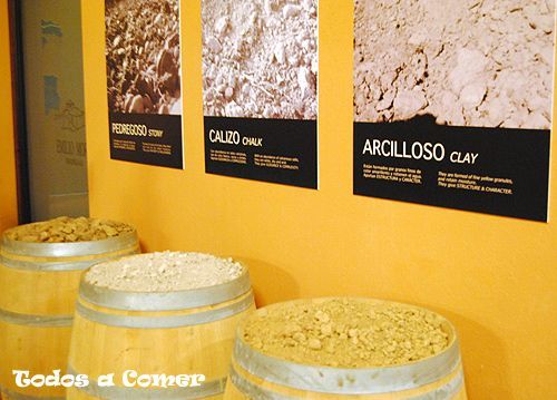 Visita a las bodegas Emilio Moro- Tipos de suelo de la zona