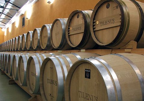 Bodegas Estefanía: sala de barricas