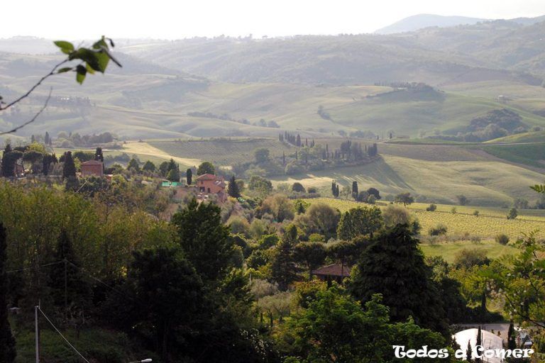 Ruta por la toscana en 6 días - Paisaje Montalcino