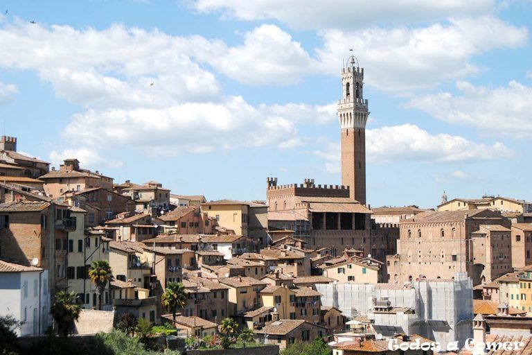 Qué ver en Siena. Skyline de Siena