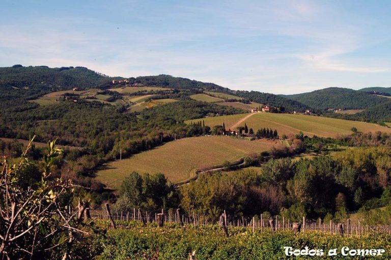 Ruta por la Toscana. Chianti Clásico - Paisaje