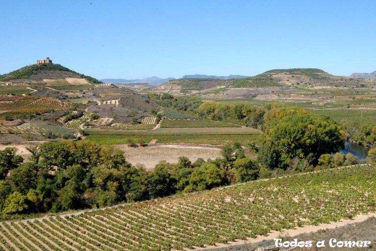 Paisaje. Escapada a La Rioja