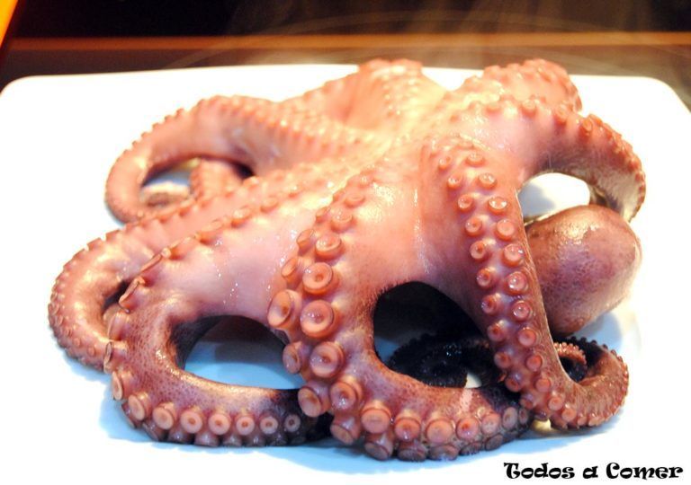 Cómo cocer pulpo