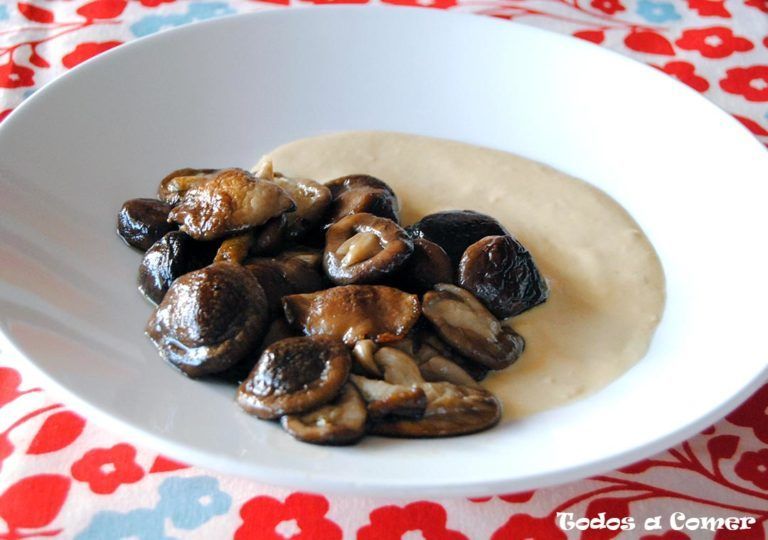 Setas a la plancha con crema de cebolla - Presentación