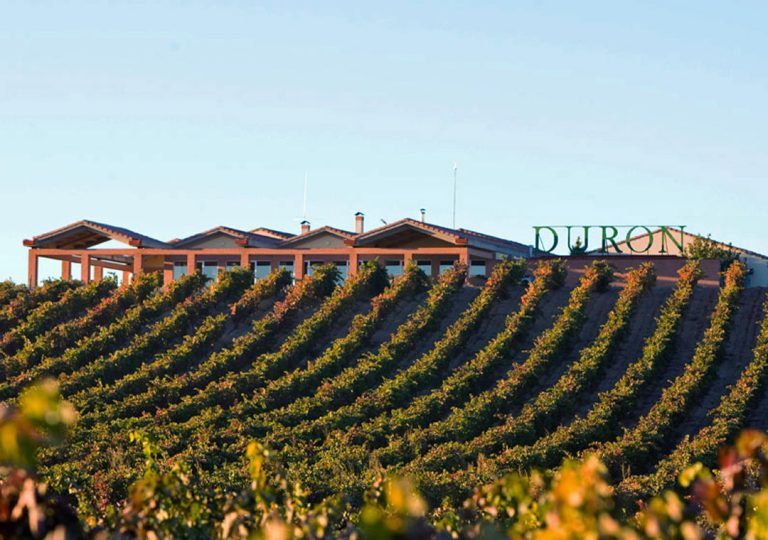 Visita a Bodegas Durón, en la D.O. Ribera del Duero