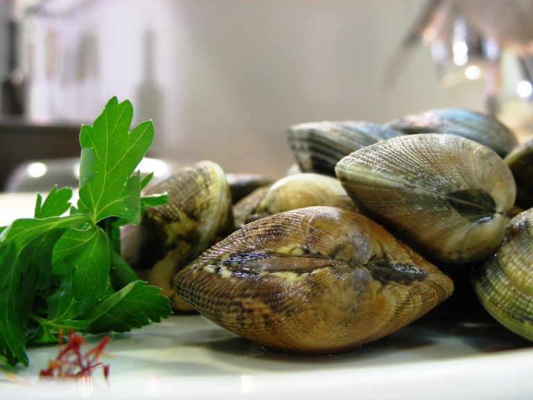 Almejas para el arroz