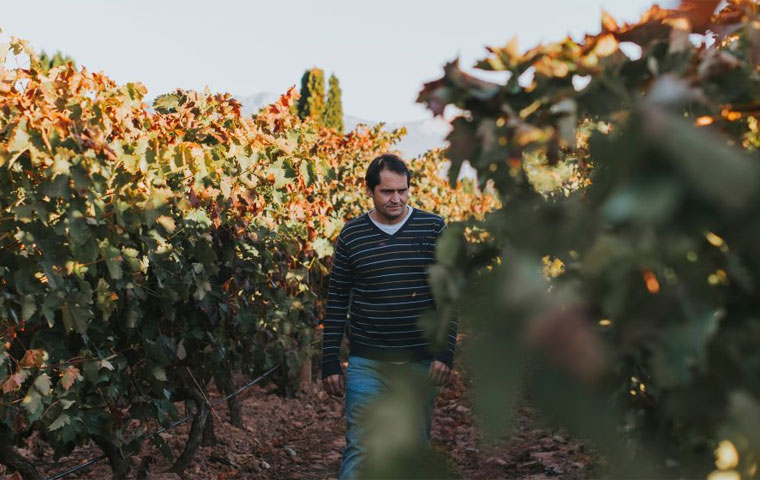 Mejores enólogos españoles- Carlos Ferreiro, de Bodegas Altanza