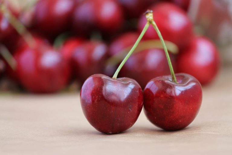 Qué diferencia hay entre las cerezas y las picotas