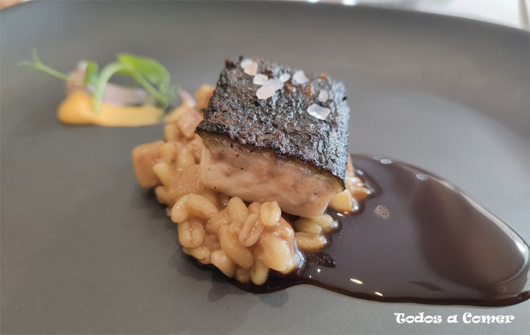 Rodaballo con risotto de trigo, boletus y jugo. Restaurante Epílogo (Tomelloso)