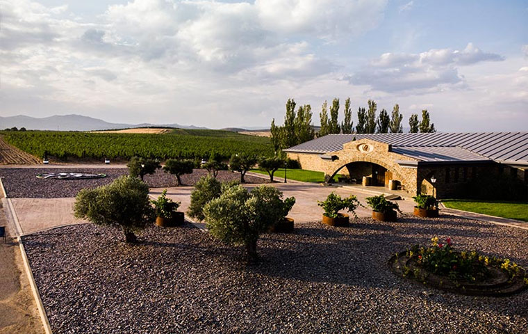Una visita a bodega Finca Río Negro